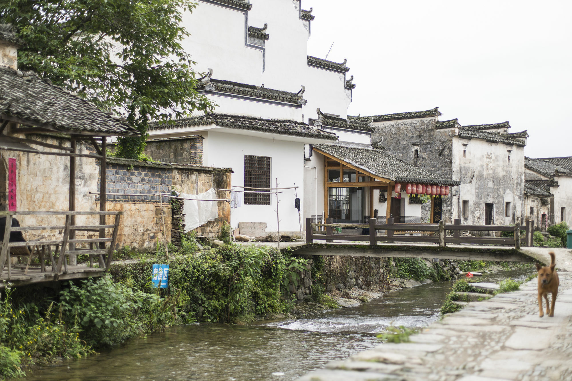 Banyan Tree Hotel Huangshan-The Ancient Charm Of Huizhou, A Paradise Eksteriør billede