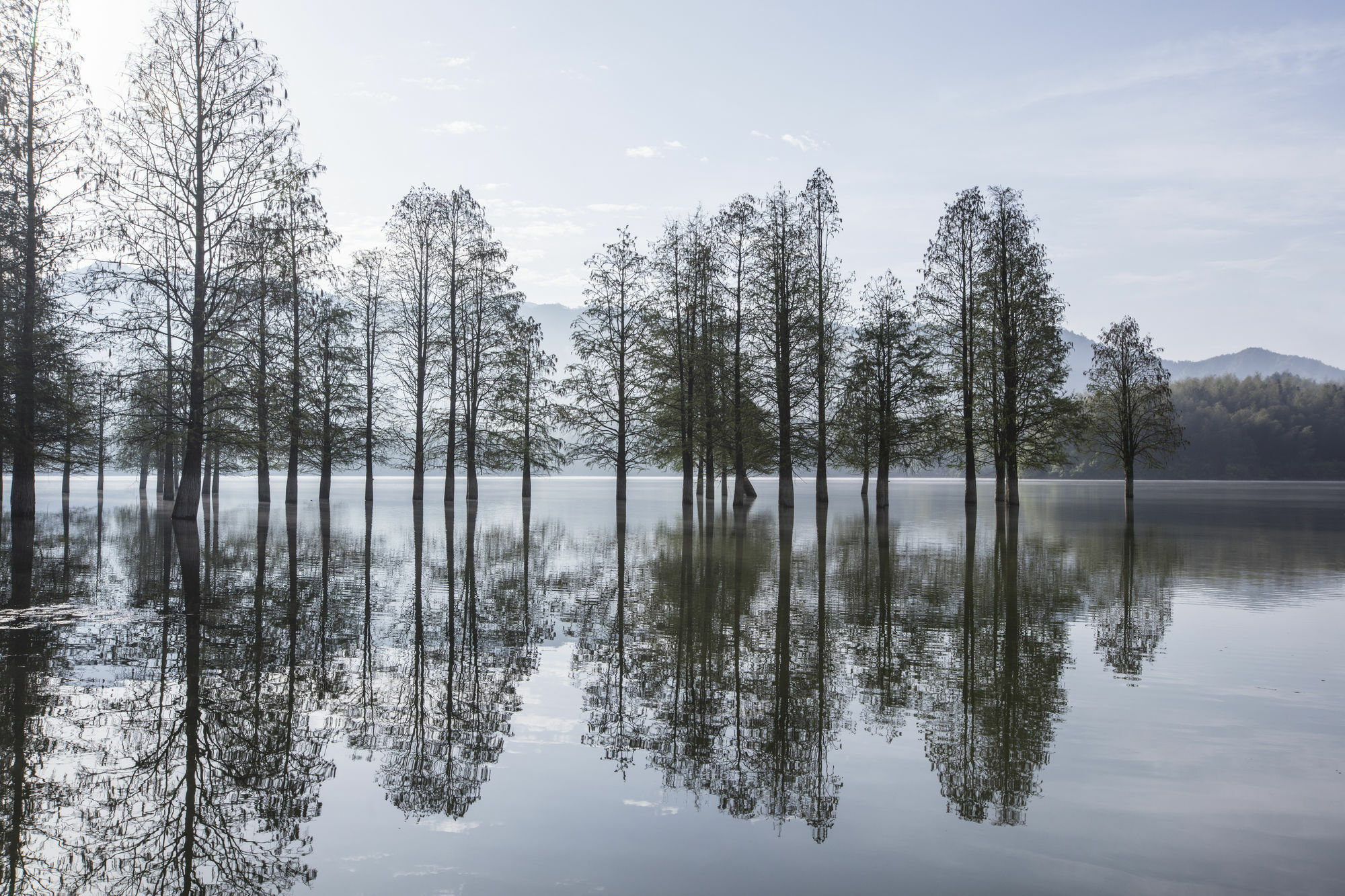 Banyan Tree Hotel Huangshan-The Ancient Charm Of Huizhou, A Paradise Eksteriør billede